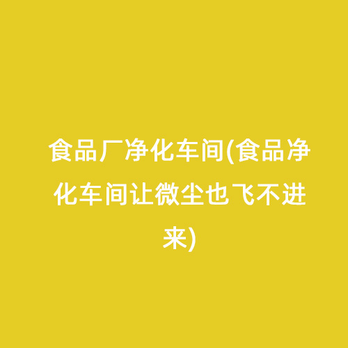 食品廠凈化車(chē)間(食品凈化車(chē)間讓微塵也飛不進(jìn)來(lái))